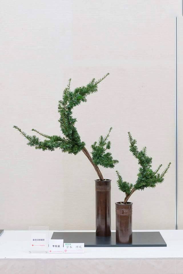 伽羅の生花